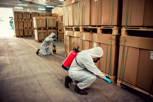 Best Pest Prevention Services  in Steamboat Springs, CO