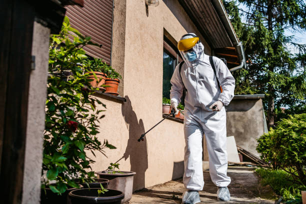 Best Flea Control Services  in Steamboat Springs, CO