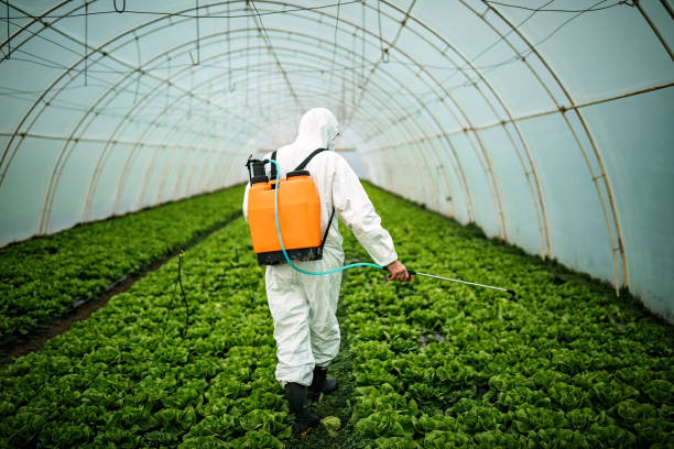 Best Pest Control for Businesses  in Steamboat Springs, CO
