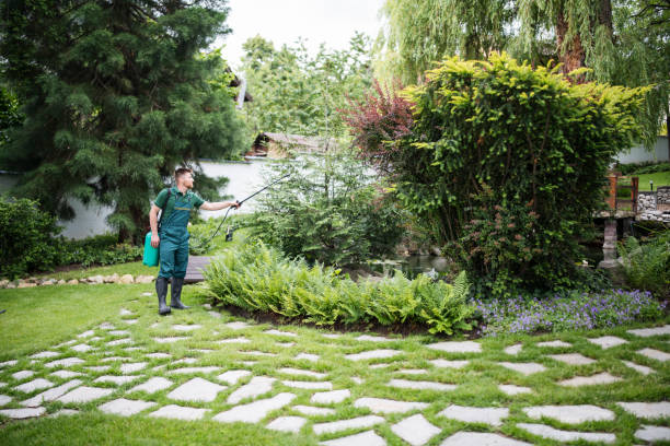 Best Wasp Removal Services  in Steamboat Springs, CO