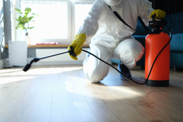 Professional Pest Control in Steamboat Springs, CO