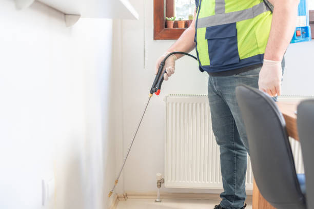 Best Bed Bug Extermination  in Steamboat Springs, CO