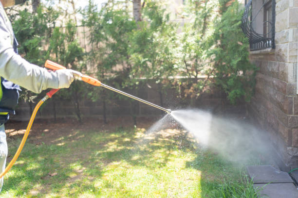 Best Local Pest Control Services  in Steamboat Springs, CO