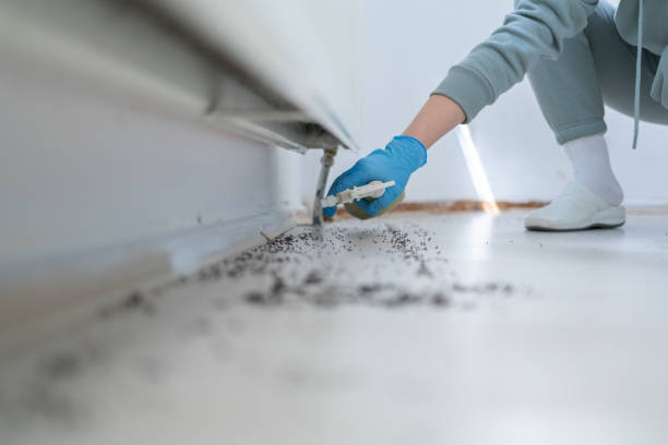 Pest Control Cost in Steamboat Springs, CO
